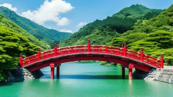 Japão zen ponte panorama panorama Visão fotografia sakura flores pagode Paz silêncio torre parede foto