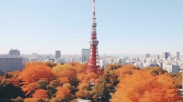 Japão zen Tóquio televisão torre panorama panorama Visão fotografia sakura flores pagode Paz silêncio foto