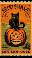 Preto gato chapéu fofa postagem carimbo retro vintage Década de 1930 dia das bruxas abóbora ilustração Varredura poster foto