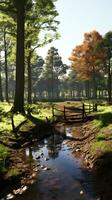 rio outono beleza pacífico panorama liberdade cena lindo natureza papel de parede foto região selvagem