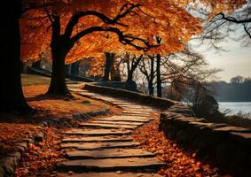 outono folhas laranja tranquilidade graça panorama zen harmonia calma unidade harmonia fotografia foto