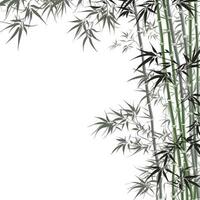 bambu folhas quadro, Armação cumprimento cartão scrapbooking aguarela □ Gentil ilustração fronteira Casamento foto