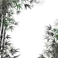 bambu folhas quadro, Armação cumprimento cartão scrapbooking aguarela □ Gentil ilustração fronteira Casamento foto