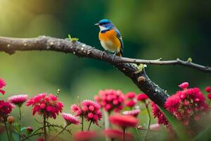 uma azul e laranja pássaro senta em uma ramo dentro frente do Rosa flores gerado por IA foto