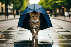 uma gato caminhando debaixo a guarda-chuva em uma chuvoso dia. gerado por IA foto