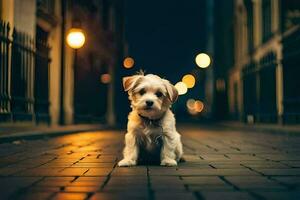 uma pequeno cachorro sentado em a rua às noite. gerado por IA foto