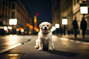 uma cachorro sentado em a rua às noite. gerado por IA foto