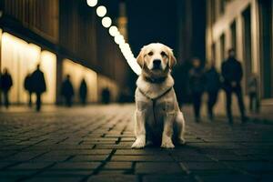 uma cachorro sentado em a rua às noite. gerado por IA foto