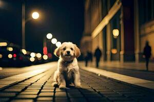 uma cachorro sentado em uma tijolo estrada às noite. gerado por IA foto