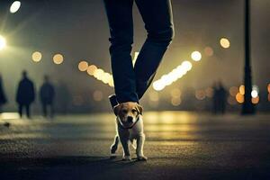 uma pessoa caminhando uma cachorro às noite. gerado por IA foto
