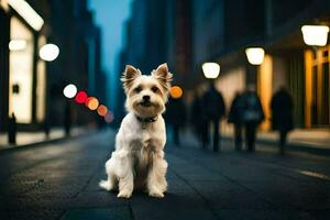 uma pequeno branco cachorro sentado em a rua às noite. gerado por IA foto