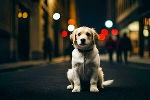 uma cachorro sentado em a rua às noite. gerado por IA foto