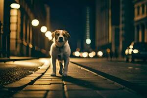 uma cachorro em pé em uma rua às noite. gerado por IA foto