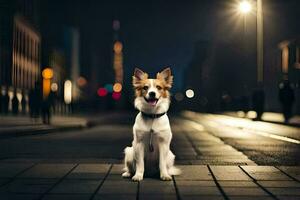 uma cachorro sentado em a rua às noite. gerado por IA foto