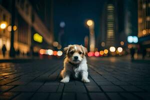 uma cachorro sentado em a rua às noite. gerado por IA foto