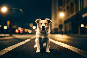 uma cachorro sentado em a rua às noite. gerado por IA foto