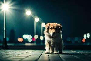 uma cachorro sentado em uma de madeira calçadão às noite. gerado por IA foto