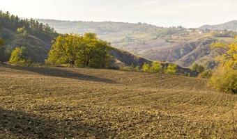 vinhas e campos do interior do Piemonte, Itália foto