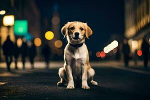 uma cachorro sentado em a rua às noite. gerado por IA foto