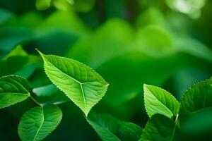 verde folhas dentro a floresta. gerado por IA foto