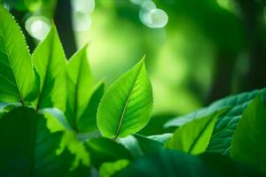 verde folhas dentro a luz solar. gerado por IA foto