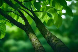 uma fechar acima do dois árvores com verde folhas. gerado por IA foto