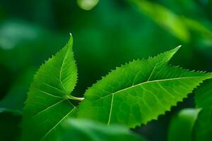 uma fechar acima do uma verde folha com uma embaçado fundo. gerado por IA foto