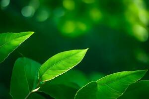 verde folhas em uma árvore. gerado por IA foto