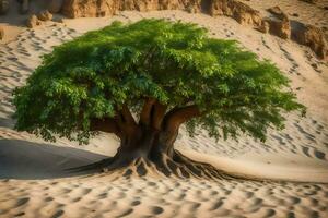 uma árvore dentro a deserto com areia dunas dentro a fundo. gerado por IA foto