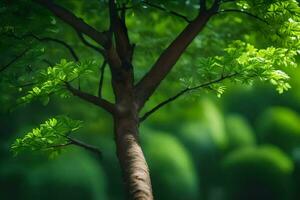 uma árvore com verde folhas dentro a fundo. gerado por IA foto