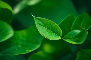 uma fechar acima do verde folhas em uma árvore. gerado por IA foto