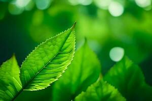 uma fechar acima do verde folhas dentro a luz solar. gerado por IA foto