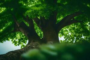 uma árvore é visto a partir de abaixo com verde folhas. gerado por IA foto