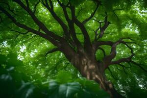 uma árvore é visto a partir de abaixo dentro uma verde floresta. gerado por IA foto