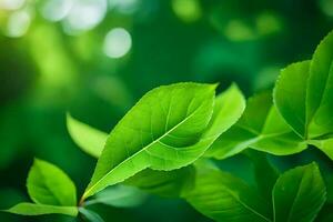 uma fechar acima do verde folhas em uma árvore. gerado por IA foto