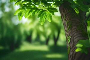 foto papel de parede a árvore, folhas, a floresta, a verde, a árvores, a verde folhas. gerado por IA