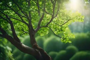 uma árvore com verde folhas e luz solar brilhando através. gerado por IA foto