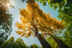 uma árvore dentro a floresta com a Sol brilhando através isto. gerado por IA foto