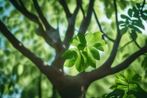 uma árvore com verde folhas e luz solar. gerado por IA foto