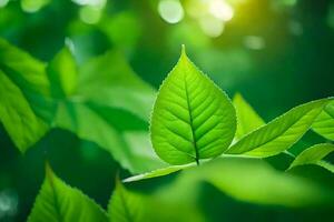 verde folhas dentro a luz solar. gerado por IA foto