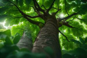 uma árvore é visto a partir de acima com verde folhas. gerado por IA foto