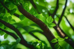 uma árvore ramo com verde folhas e luz solar. gerado por IA foto