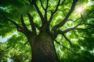 uma árvore com verde folhas e luz solar brilhando através isto. gerado por IA foto