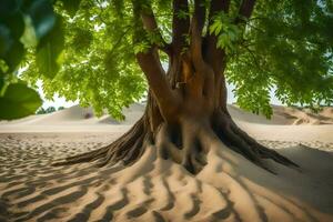 uma árvore com raízes dentro a areia. gerado por IA foto