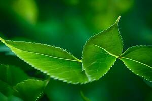 uma fechar acima do verde folhas em uma árvore. gerado por IA foto