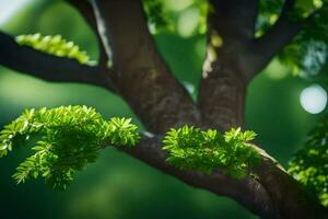 uma árvore ramo com verde folhas. gerado por IA foto