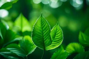 uma fechar acima do verde folhas dentro a floresta. gerado por IA foto