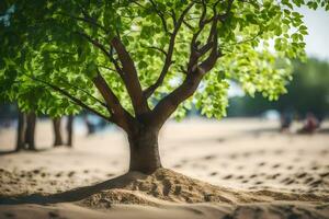 uma árvore é crescendo Fora do a areia dentro a meio do a de praia. gerado por IA foto