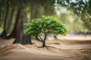 uma pequeno árvore crescendo dentro a areia. gerado por IA foto