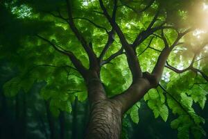 uma árvore com verde folhas dentro a floresta. gerado por IA foto